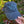 Surf Sister Dad Hat