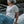Surf Sister Ladies T-Shirt - Longboarder