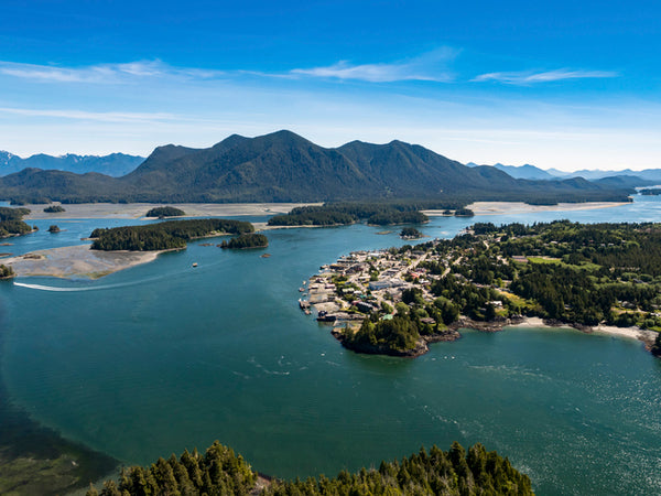 Aerial view of a coastal town, Tofino with mountains in the background