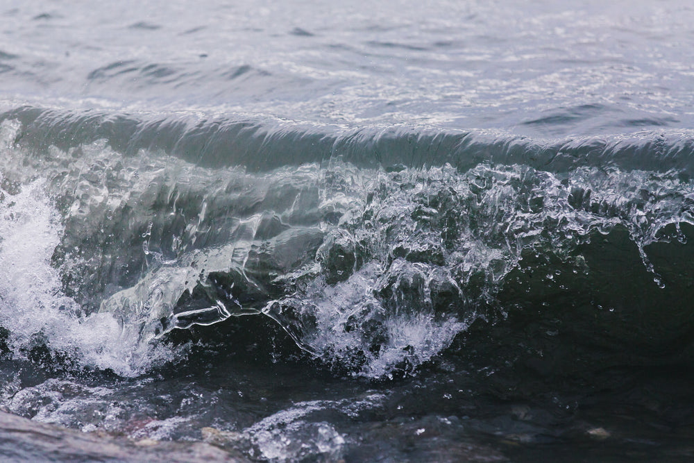 Tofino surf